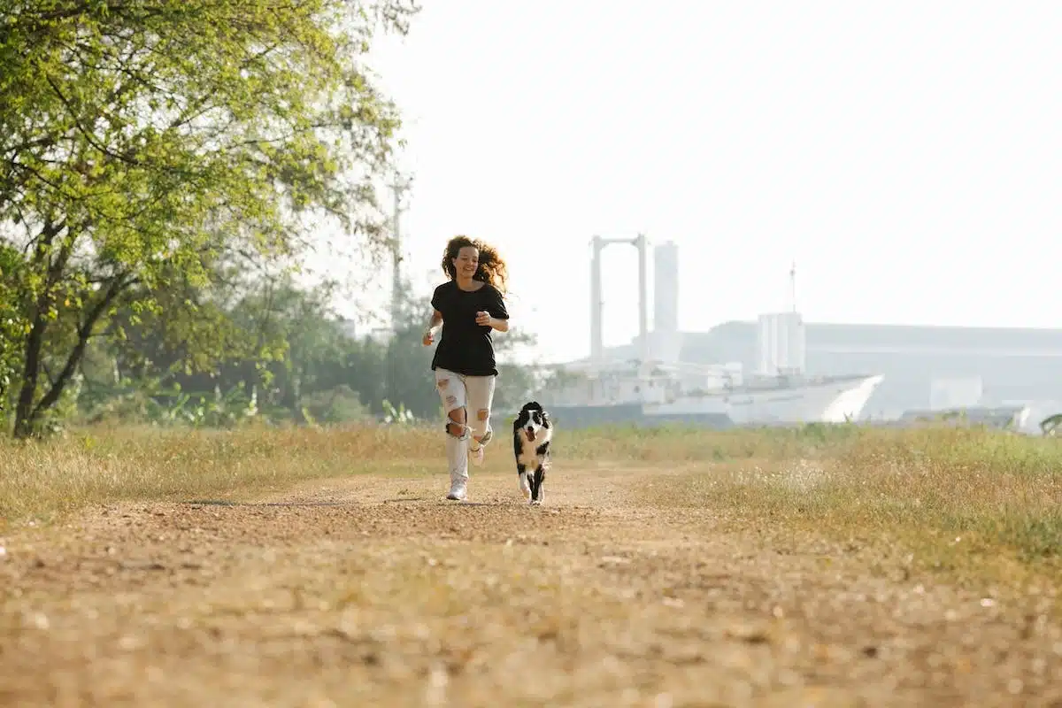 chien  nature