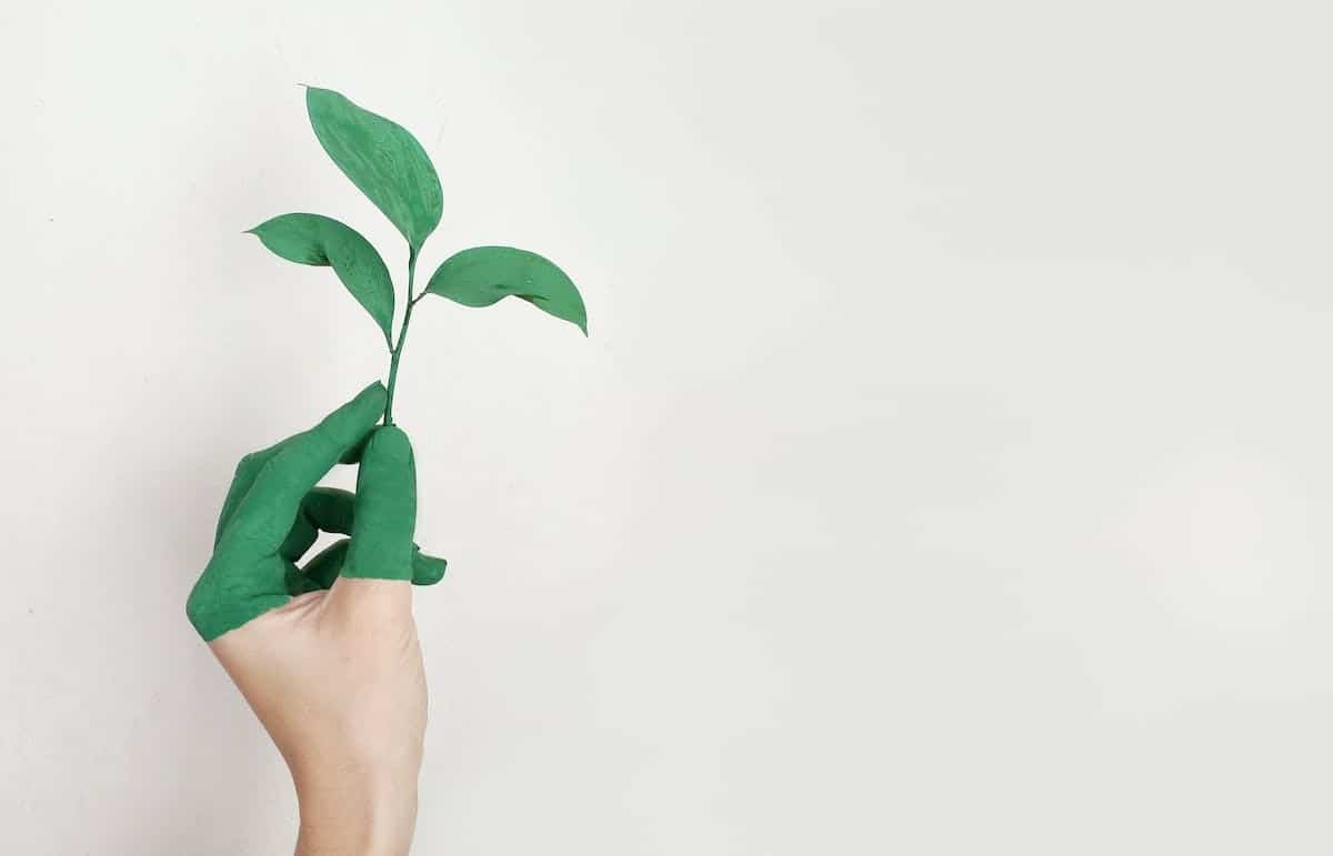 biodiversité  éco-responsabilité