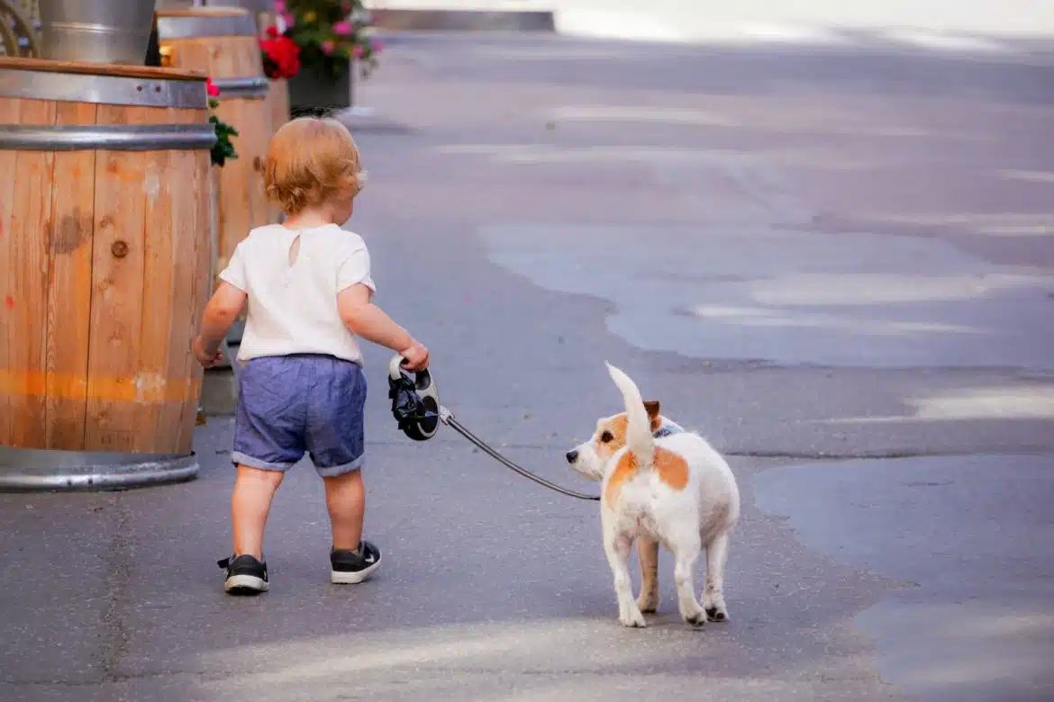 Les chiens et les enfants : comment développer une relation harmonieuse et sécuritaire