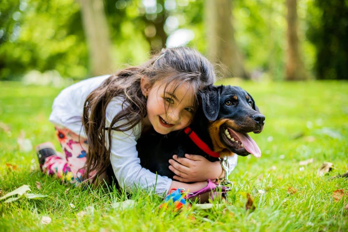 Les chiens et les enfants : comment développer une relation harmonieuse et sécuritaire 